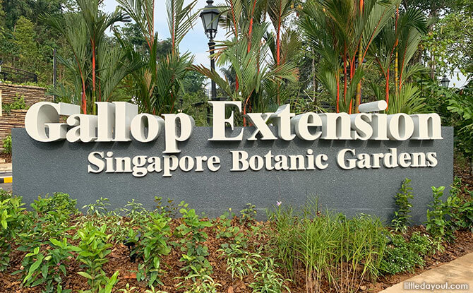 14-gallop-extension-singapore-botanic-gardens