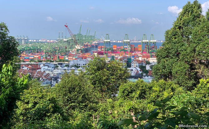 View from Kent Ridge Park