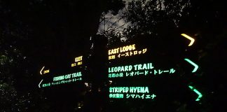 14-night-safari-walking-trails