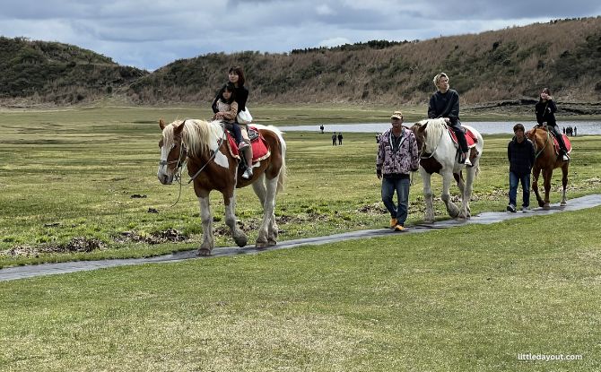 8-Day Escape to Kyushu: Family-Friendly Tips, Experiences And Road Trip Highlights 15 first horse riding experience on a beautiful and majestic sturdy horse