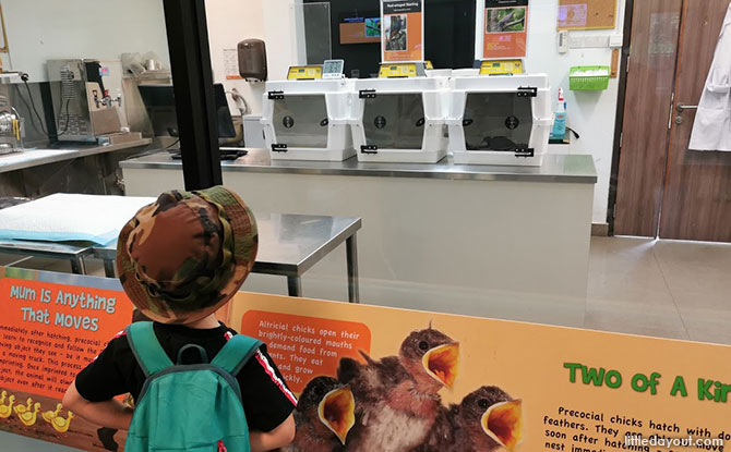 Inside the Breeding & Research Centre, Jurong Bird Park