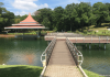 MacRitchie Reservoir Park