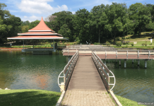 MacRitchie Reservoir Park: 15 Things You Did Not Know MacRitchie Reservoir Park