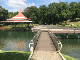 MacRitchie Reservoir Park