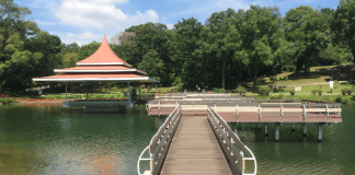 MacRitchie Reservoir Park