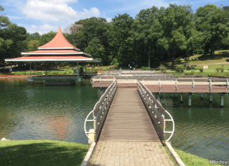 MacRitchie Reservoir Park: 15 Things You Did Not Know MacRitchie Reservoir Park