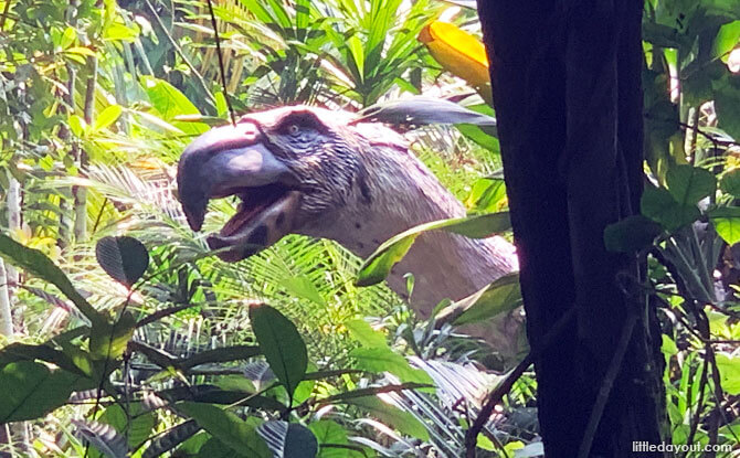 Terror Bird at Singapore Zoo