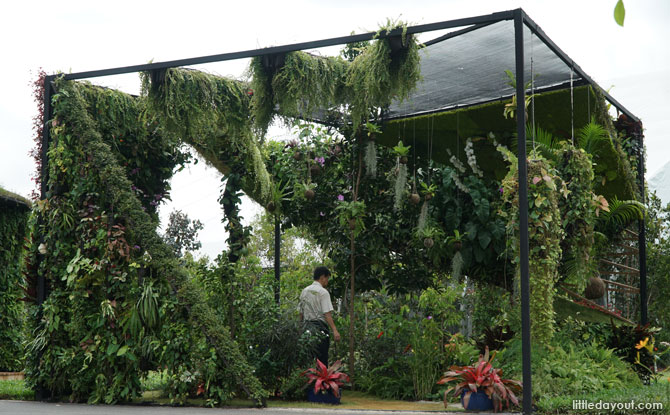 Vertical Garden Display