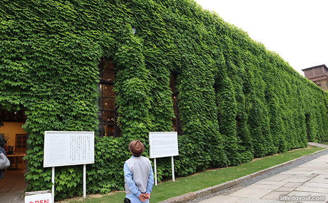 Kurashiki Ivy Square