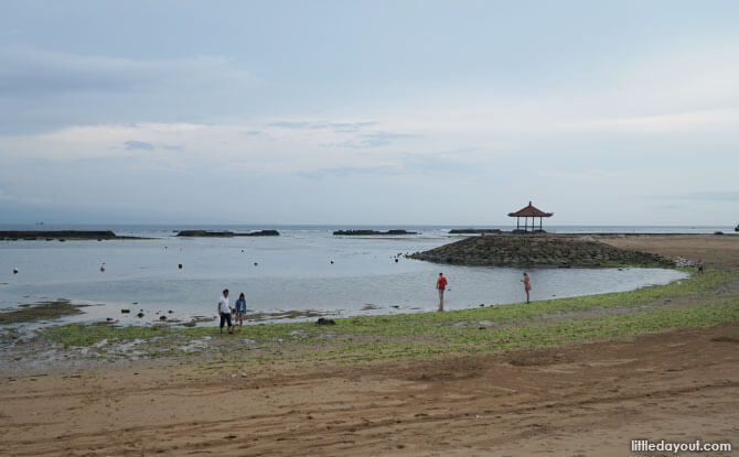 Intertidal walk