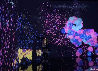 #FutureTogether Exhibition Extended Till 22 Mar With Free Tea Experience For Singapore Residents 16-future-together-gardens-by-the-bay