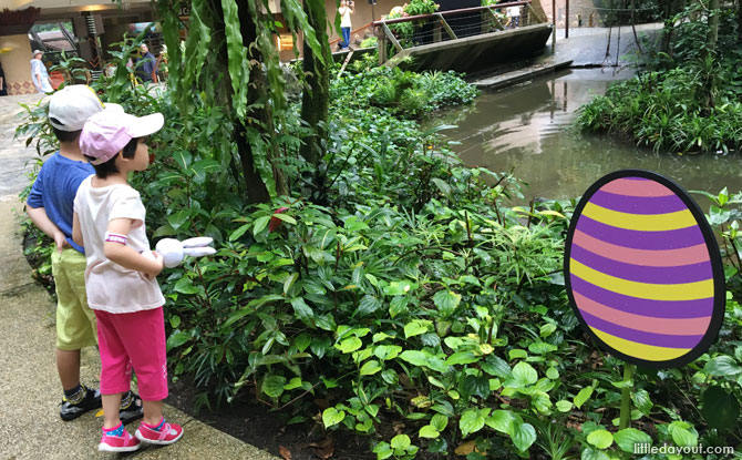 Going on the Jurong Bird Park Easter Egg Hunt 2019