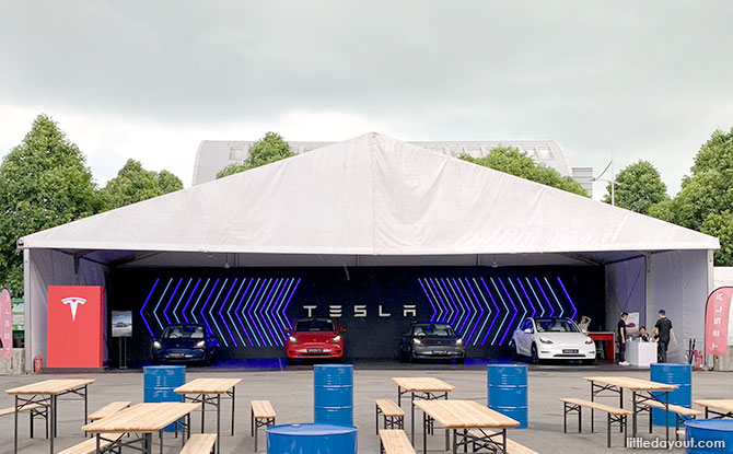 The Great Tesla Electric Light Show