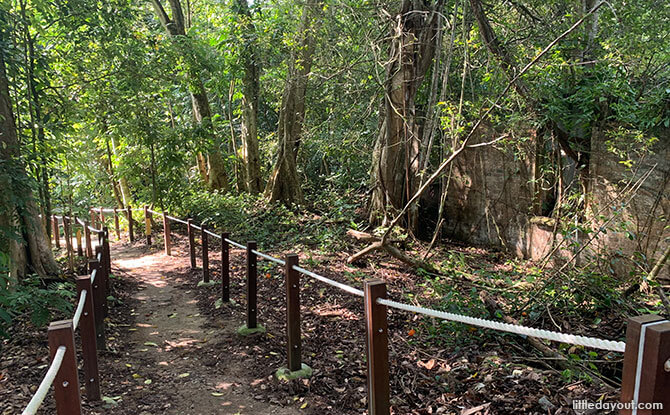 Path through Thomson Nature Park