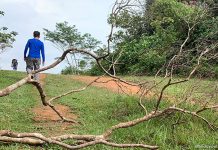 Trekking Across The Central Catchment Nature Reserve: From Windsor To Bukit Timah