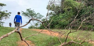 Trekking Across The Central Catchment Nature Reserve: From Windsor To Bukit Timah