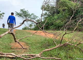 Trekking Across The Central Catchment Nature Reserve: From Windsor To Bukit Timah