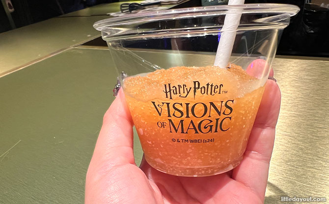 Visit Harry Potter: Visions of Magic
