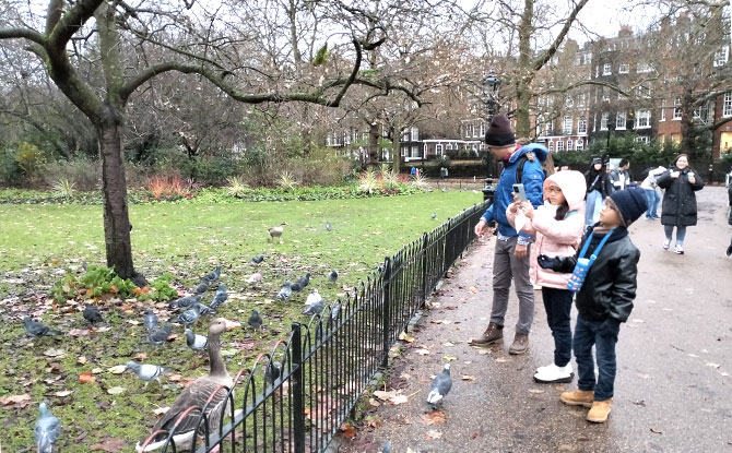 St James Park