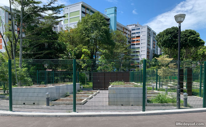 Community Garden