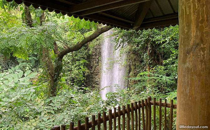 Waterfall observation point, Jurong Bird Park