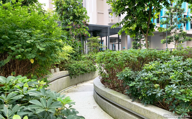 Roof top garden at Alkaff Crescent