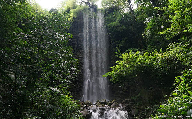 Jurong Bird Park Waterfall