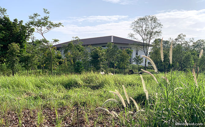 Gardenhouse and Allotment Gardens