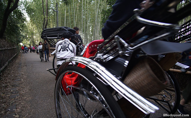 Bamboo Grove, Kyoto