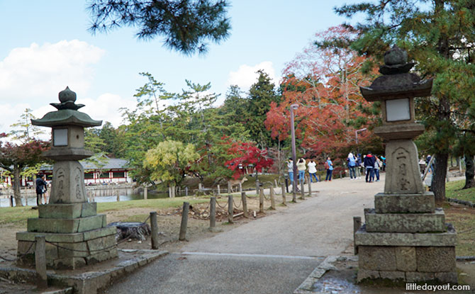 Temple grounds.