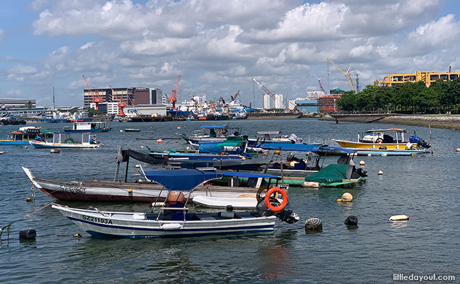 Lookout Deck at West Coast Park