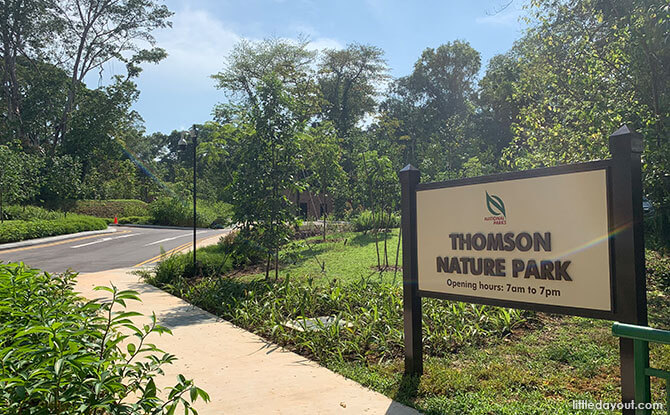 Access to Thomson Nature Park from Upper Thomson Road