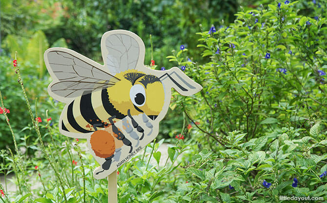 Bee Trail At HortPark: The Buzz On The Bees