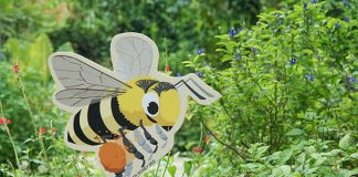 Bee Trail At HortPark: The Buzz On The Bees