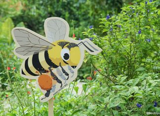 Bee Trail At HortPark: The Buzz On The Bees Bee Trail At HortPark: The Buzz On The Bees