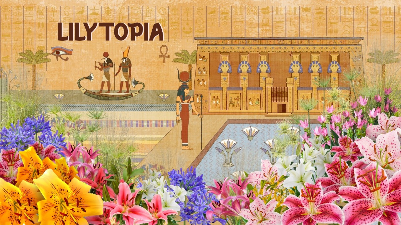Things To Do This Weekend In Singapore: 22 To 23 August 2026 14 Lilytopia