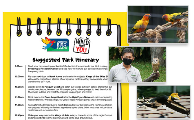 Jurong Bird Park itinerary - How to spend a day at Jurong Bird Park