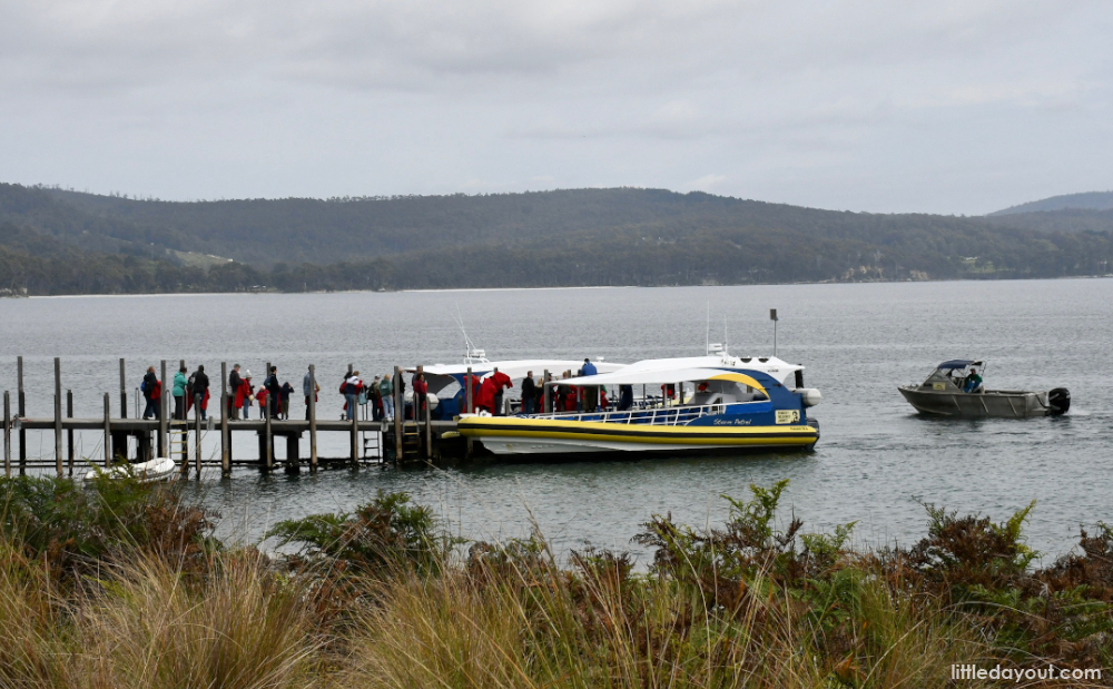 Tasmania