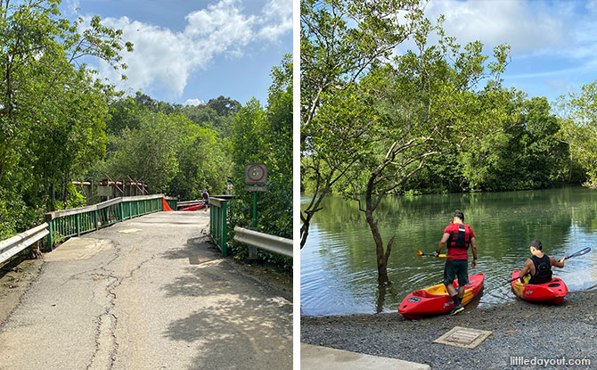 Jelutong Kayak Collage