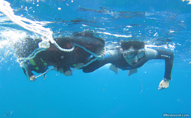 Snorkelling at the Blue Cave, Okinawa