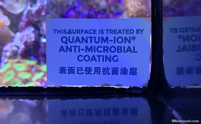 Quantum-Ion anti-microbial coating