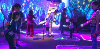 Free Entry to Changi Experience Studio for P6 Students