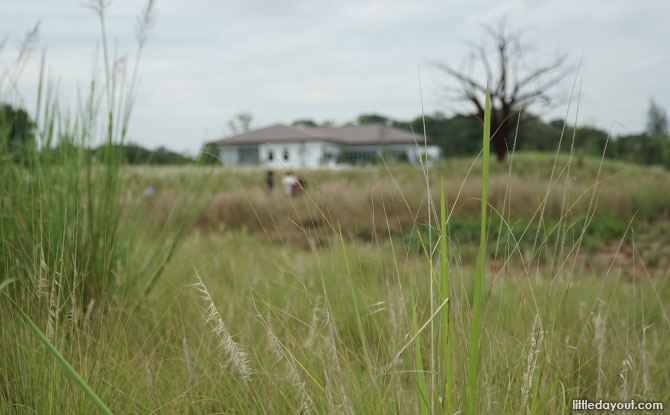 Grasslands