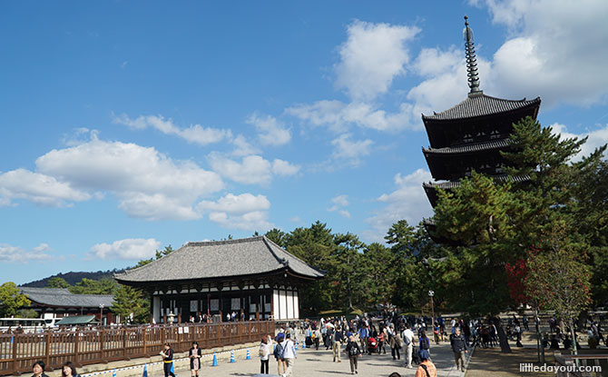 Kofuku-ji Temple and pagoda