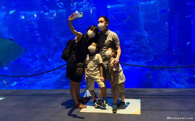 Wefie with the fishes