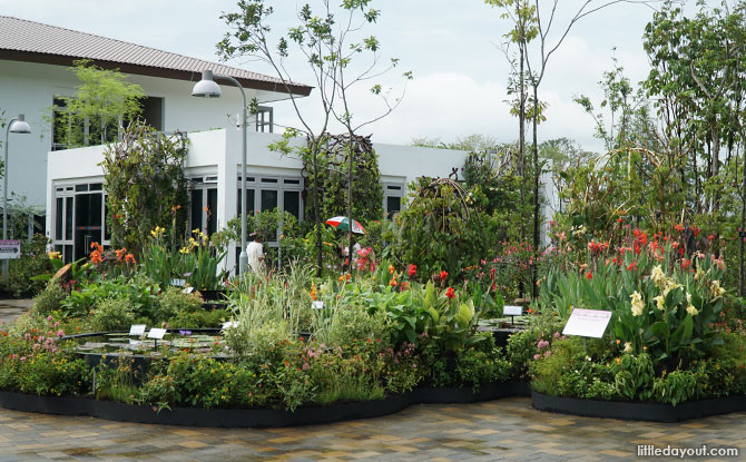 Jurong Lake Gardens