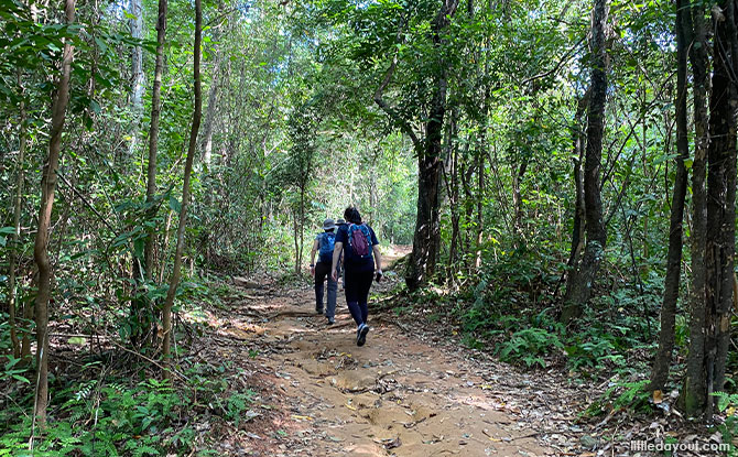 Puaka Hill Slope