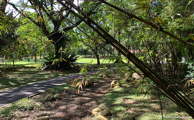 Bamboo Path