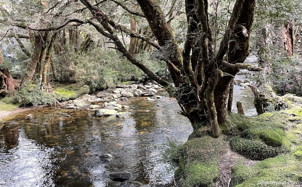 Tasmania