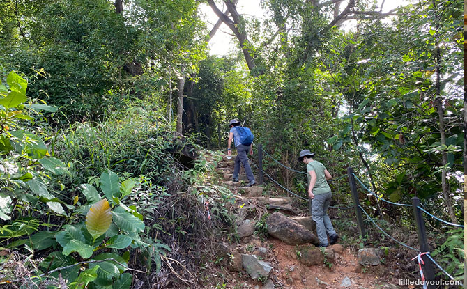 Puaka Hill Granite Stone Steps